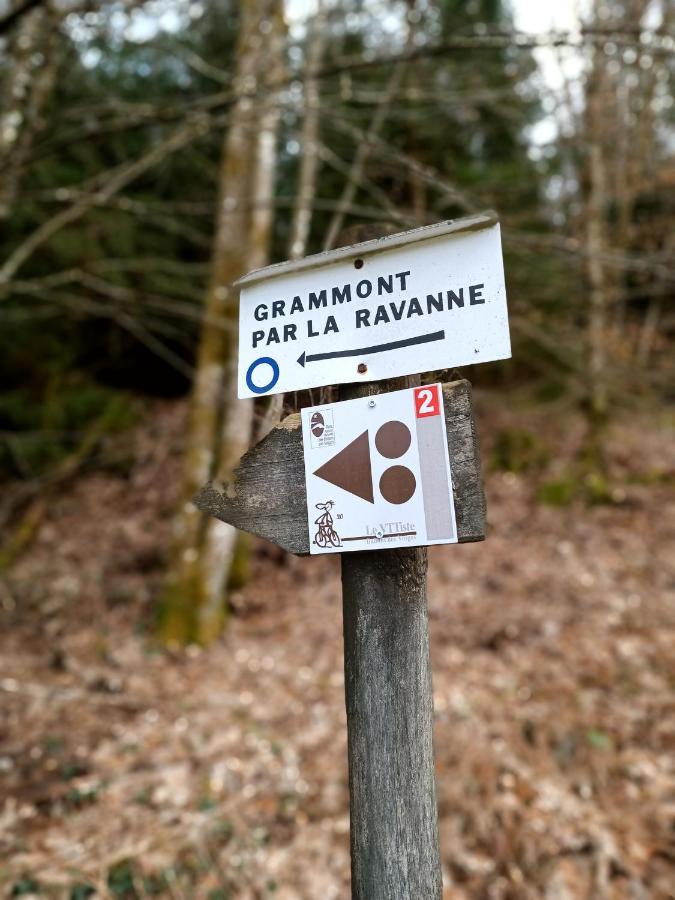 Gite De La Ravanne Ramonchamp Luaran gambar